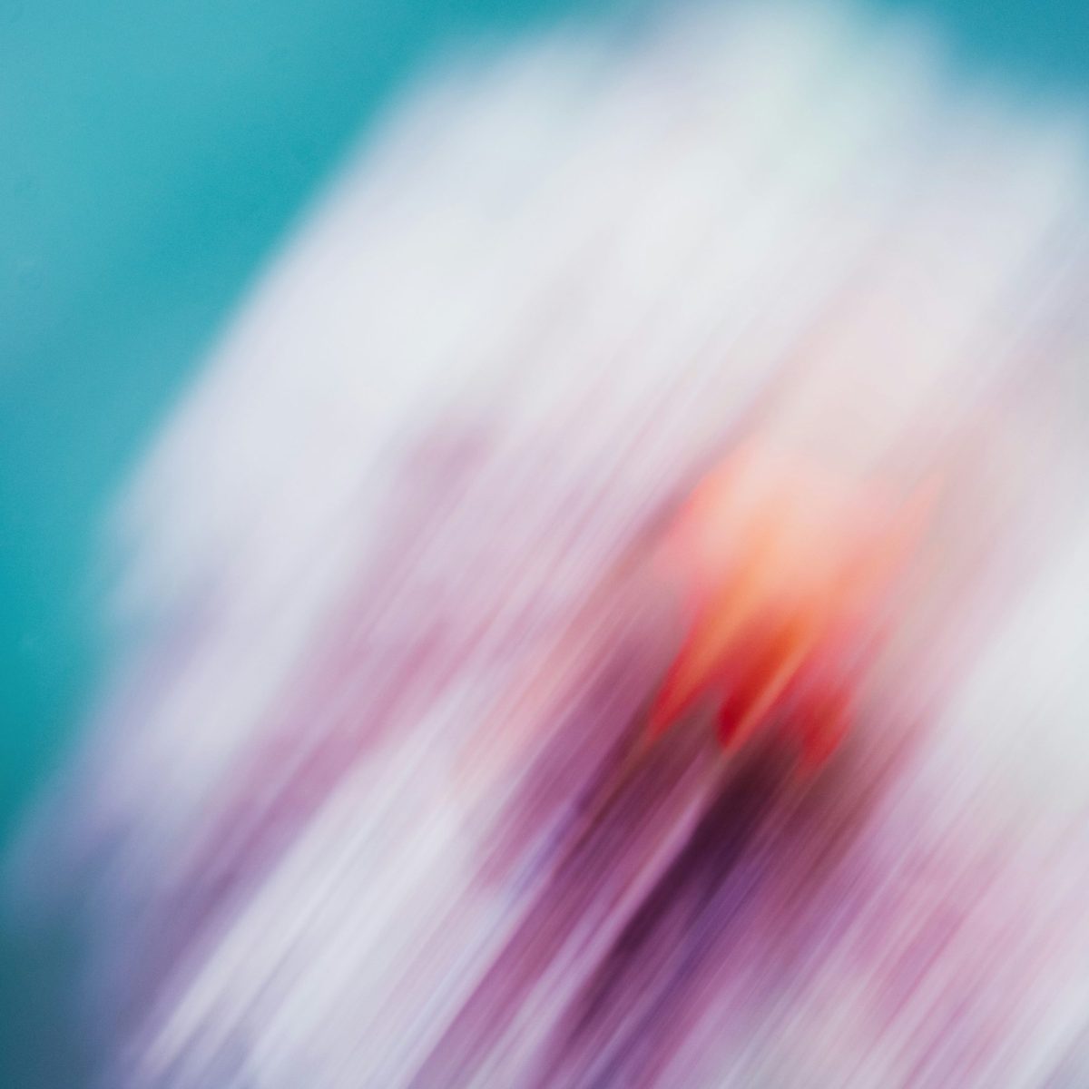 The Ephemeral Materials&nbsp;Challenge